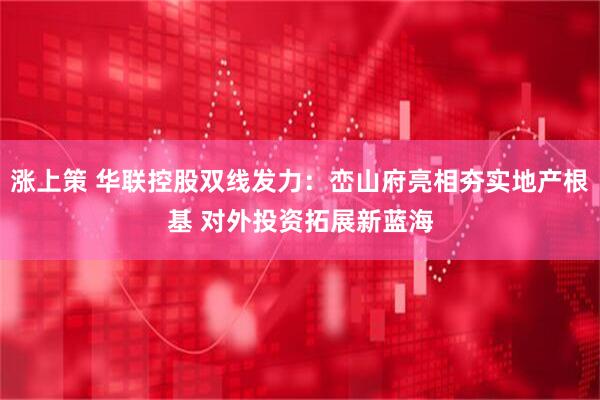 涨上策 华联控股双线发力：峦山府亮相夯实地产根基 对外投资拓展新蓝海