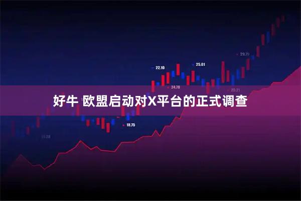 好牛 欧盟启动对X平台的正式调查