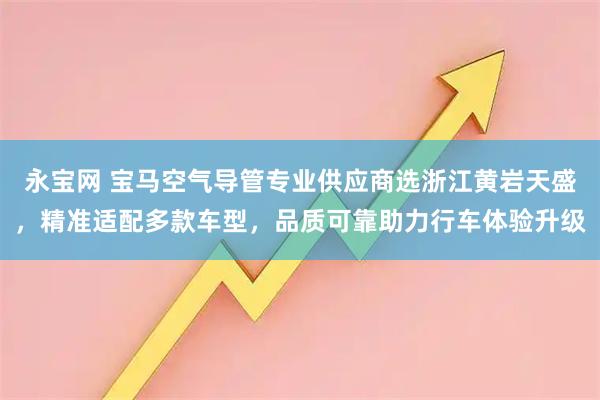 永宝网 宝马空气导管专业供应商选浙江黄岩天盛,精准适配多款车型,品质可靠助力行车体验升级