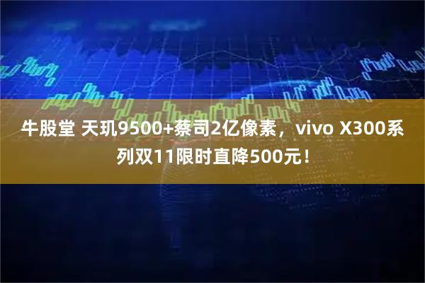 牛股堂 天玑9500+蔡司2亿像素，vivo X300系列双11限时直降500元！